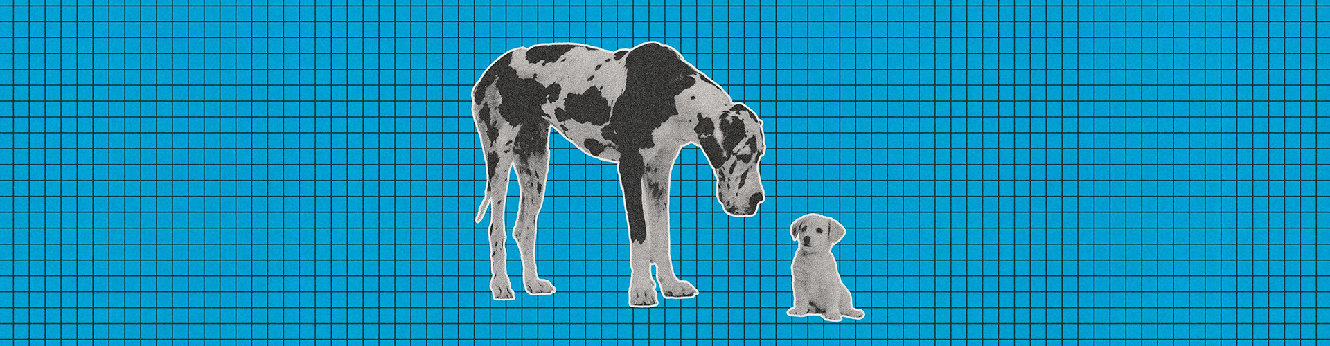 Sub-Brand Like a Boss: How to Stand Out and Find Your Unique Brand Voice